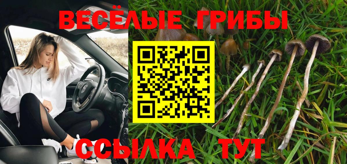 Галлюциногенные грибы прущие грибы  Вход с VPN  Галлюциногенные грибы MAGIC MUSHROOMS  Острогожск 
